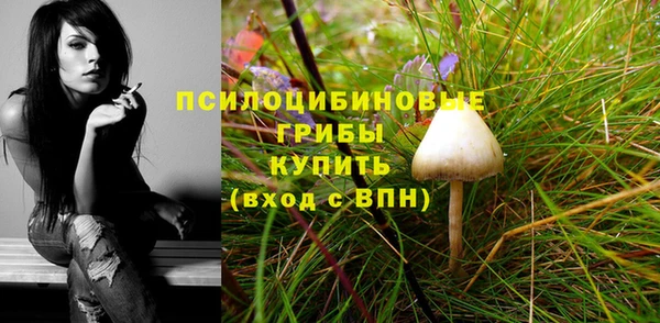 винт Дмитриев