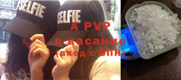 винт Дмитриев