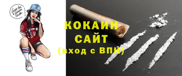 PSILOCYBIN Дмитров