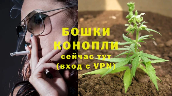 винт Дмитриев
