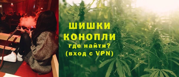 PSILOCYBIN Дмитров