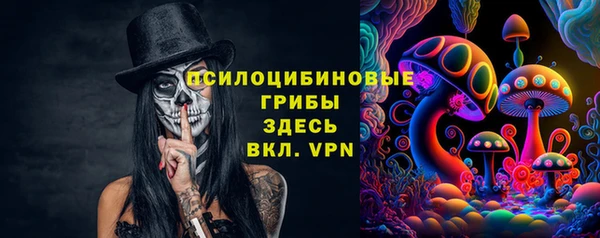 PSILOCYBIN Дмитров