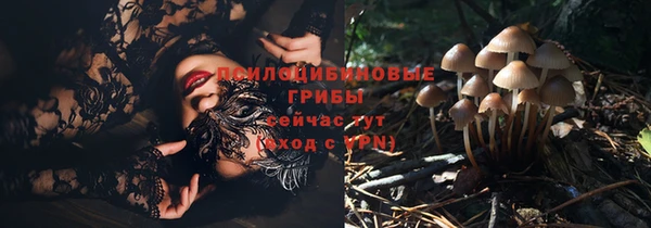 соль курить ск Дмитровск