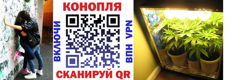 МАРИХУАНА гибрид  что такое наркотик  Салаир 